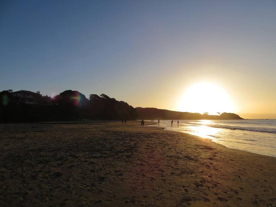 At Coopers * Coopers Beach