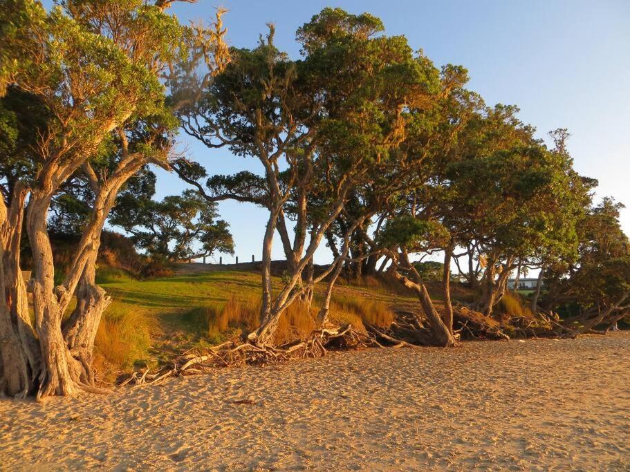 At Coopers * Coopers Beach